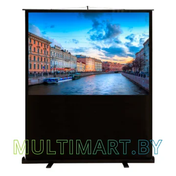 Проекционный экран CACTUS FloorCompactExpert 90x160 (CS-PSFLCE-160X90)